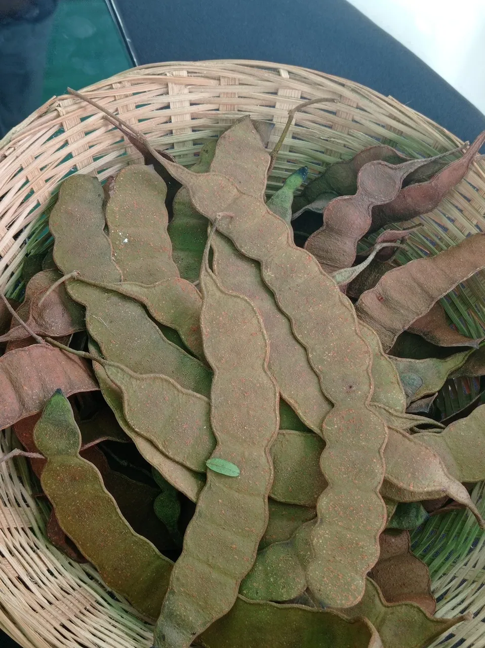 Foto de Angico-do-cerrado